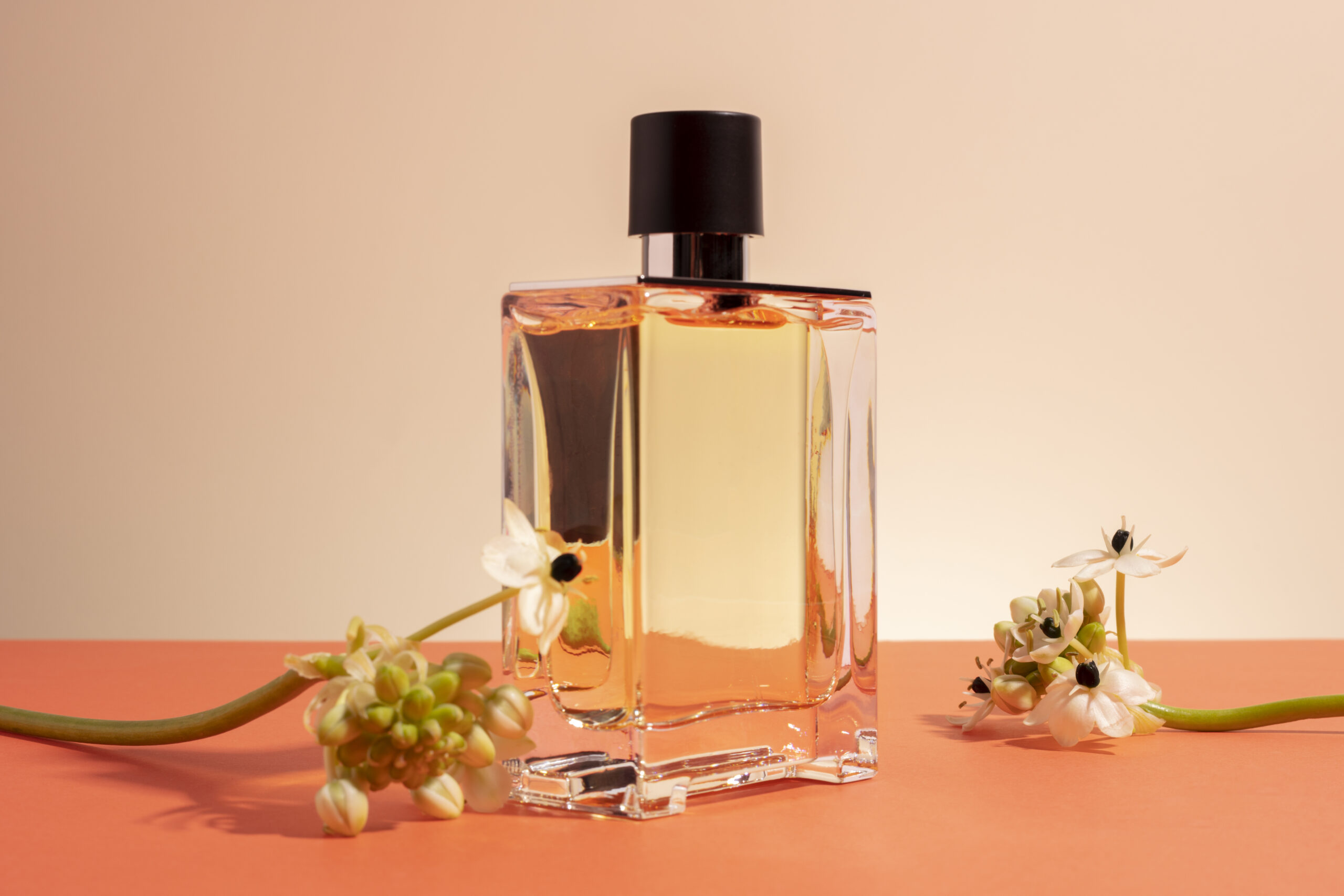 still life cosmetic products (1)